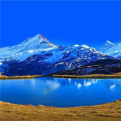 71771威尼斯.Cm下载手机版