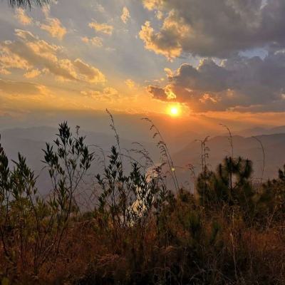 LOL外围官网手机app下载