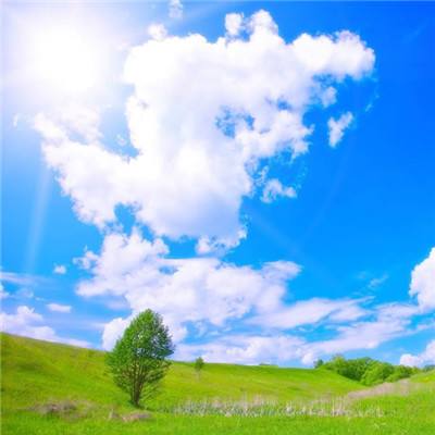 pk10赛车下载手机版截图