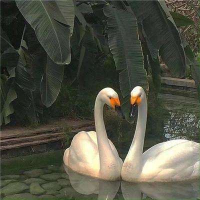 尊龙人生就是博登录