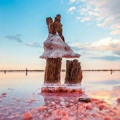 71771威尼斯.Cm下载手机版截图