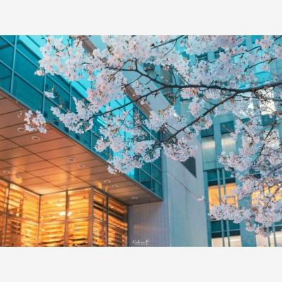 kok中欧登录入口app下载