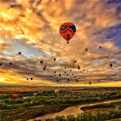 开云·体育平台下载手机版