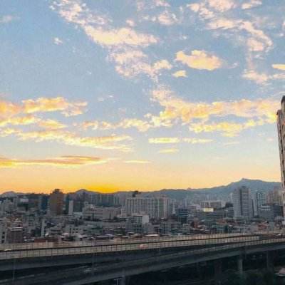 奇异果体育app下载