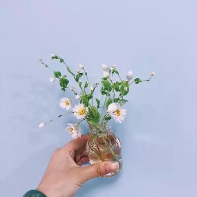 百姓彩票登录平台