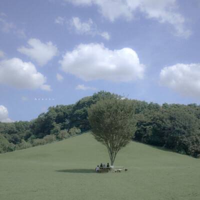 im电竞官方网站入口