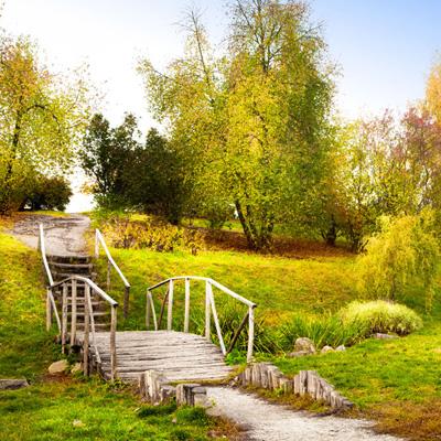 开云体云app下载手机版