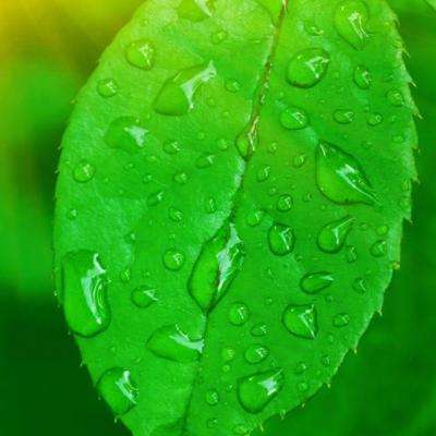 pk10赛车下载手机版截图