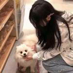 开全站登录app手机app下载